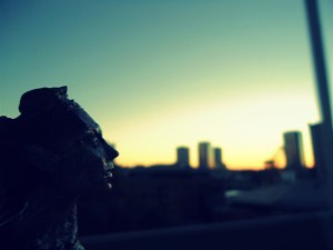 freeartfriday freeart thestreetisourgallery FAF project proyecto little sculptures women heads cabeza mujeres city ciudad freeart