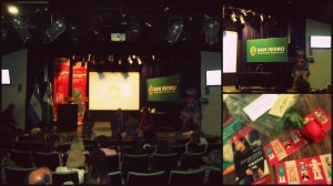 latinoamerican southamerican sudamericano latino latinoamericano project proyecto gender violence violencia genero mujer woman concientizacion livepainting pinturaenvivo urban urbanart street streeart municipalidaddesanisidro sanisidro argentina